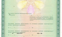 Эксперт на Петра Великого